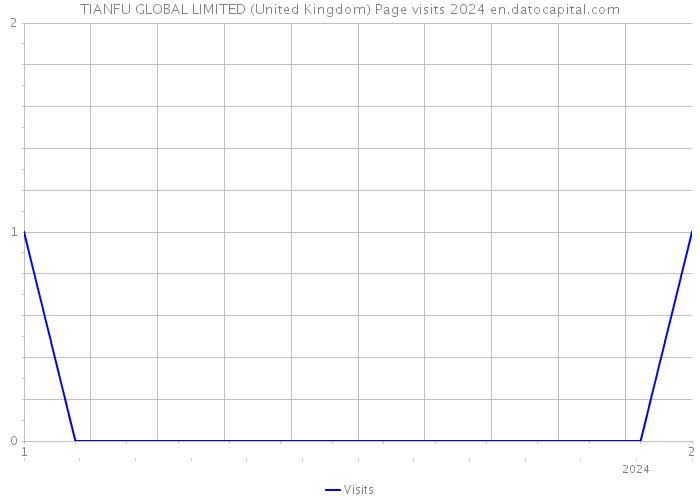 TIANFU GLOBAL LIMITED (United Kingdom) Page visits 2024 