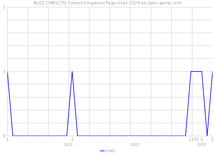 BUZZ CHEN LTD (United Kingdom) Page visits 2024 