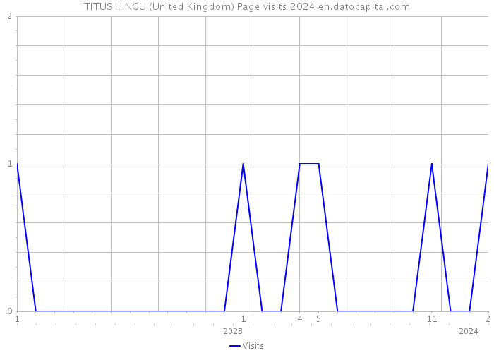 TITUS HINCU (United Kingdom) Page visits 2024 