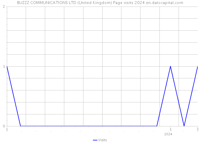 BUZZZ COMMUNICATIONS LTD (United Kingdom) Page visits 2024 