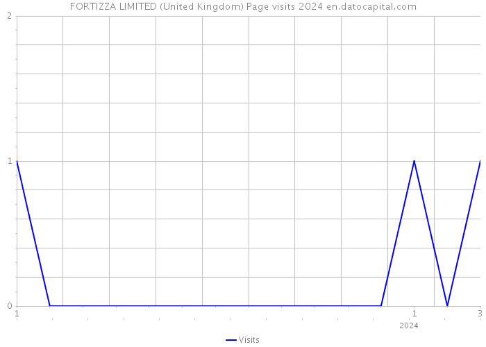 FORTIZZA LIMITED (United Kingdom) Page visits 2024 