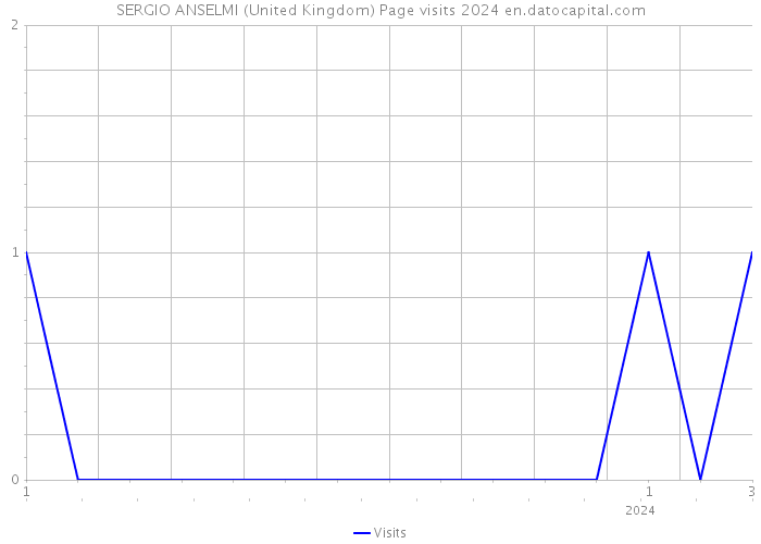 SERGIO ANSELMI (United Kingdom) Page visits 2024 