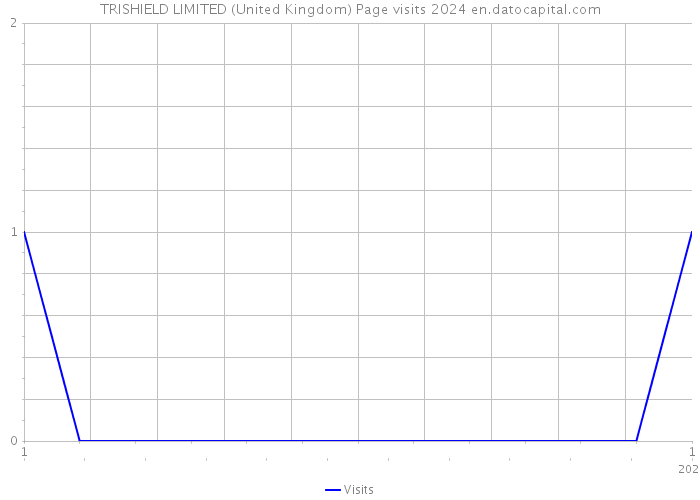 TRISHIELD LIMITED (United Kingdom) Page visits 2024 