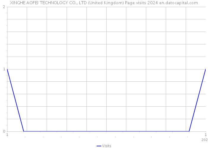 XINGHE AOFEI TECHNOLOGY CO., LTD (United Kingdom) Page visits 2024 