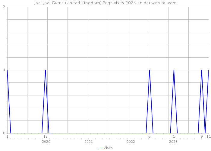 Joel Joel Guma (United Kingdom) Page visits 2024 