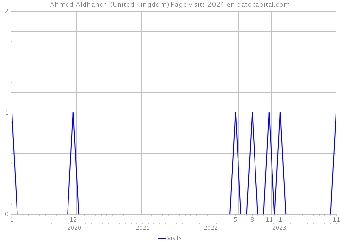 Ahmed Aldhaheri (United Kingdom) Page visits 2024 