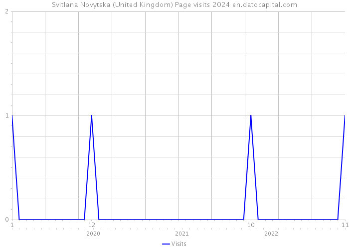 Svitlana Novytska (United Kingdom) Page visits 2024 