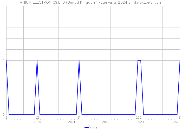 ANJUM ELECTRONICS LTD (United Kingdom) Page visits 2024 
