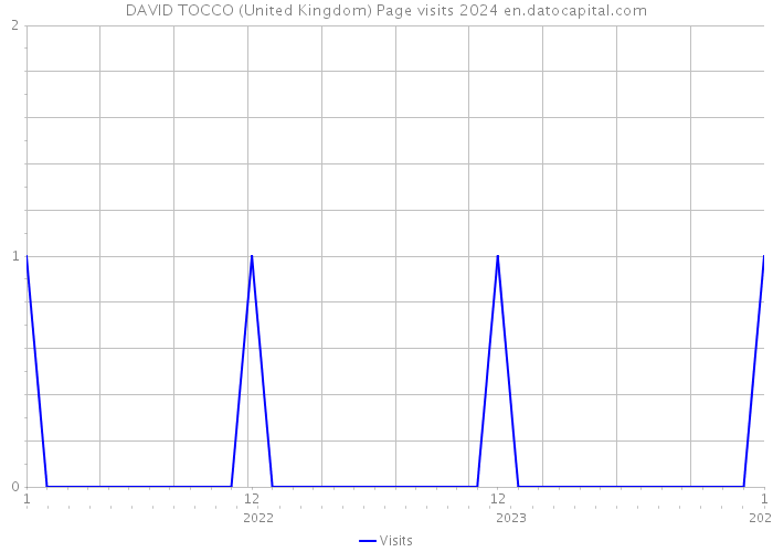 DAVID TOCCO (United Kingdom) Page visits 2024 