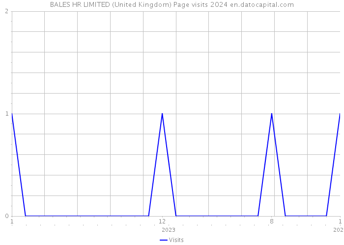 BALES HR LIMITED (United Kingdom) Page visits 2024 