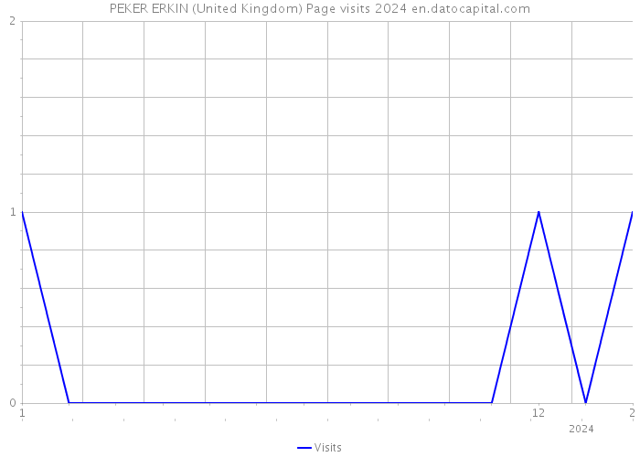 PEKER ERKIN (United Kingdom) Page visits 2024 