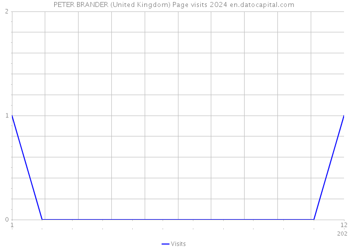 PETER BRANDER (United Kingdom) Page visits 2024 