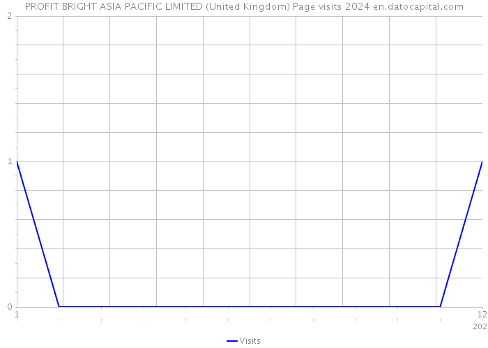 PROFIT BRIGHT ASIA PACIFIC LIMITED (United Kingdom) Page visits 2024 