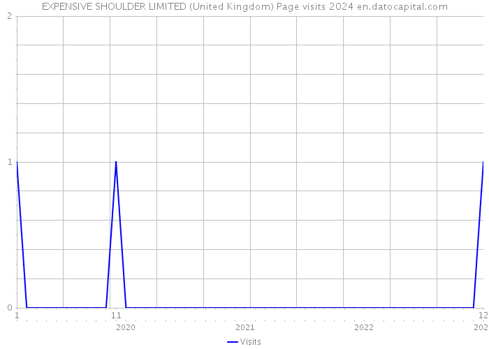 EXPENSIVE SHOULDER LIMITED (United Kingdom) Page visits 2024 
