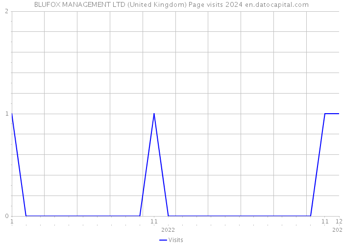 BLUFOX MANAGEMENT LTD (United Kingdom) Page visits 2024 