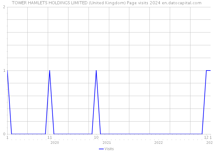 TOWER HAMLETS HOLDINGS LIMITED (United Kingdom) Page visits 2024 