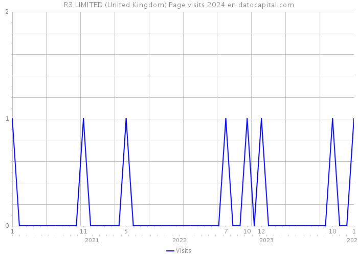 R3 LIMITED (United Kingdom) Page visits 2024 