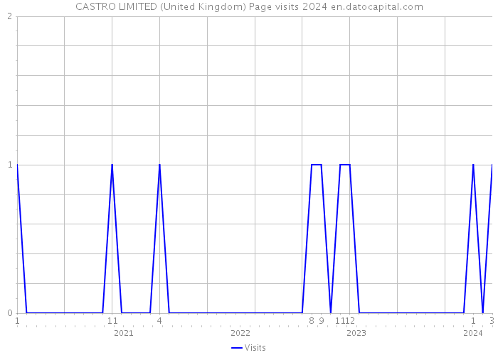 CASTRO LIMITED (United Kingdom) Page visits 2024 