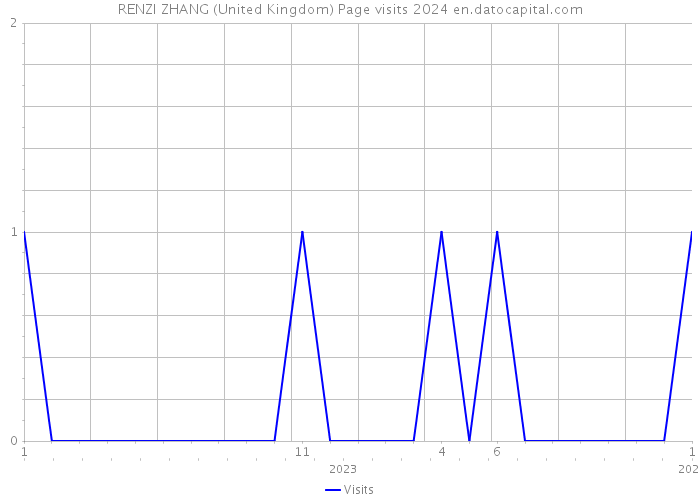 RENZI ZHANG (United Kingdom) Page visits 2024 