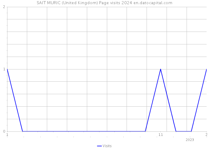 SAIT MURIC (United Kingdom) Page visits 2024 