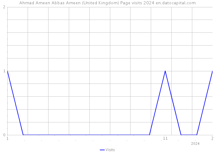 Ahmad Ameen Abbas Ameen (United Kingdom) Page visits 2024 