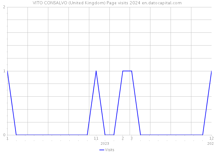 VITO CONSALVO (United Kingdom) Page visits 2024 