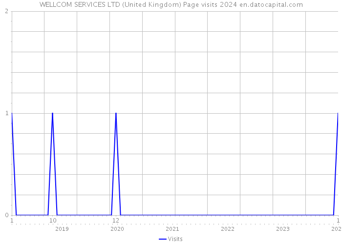 WELLCOM SERVICES LTD (United Kingdom) Page visits 2024 