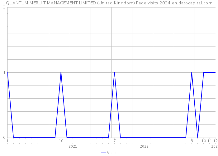 QUANTUM MERUIT MANAGEMENT LIMITED (United Kingdom) Page visits 2024 