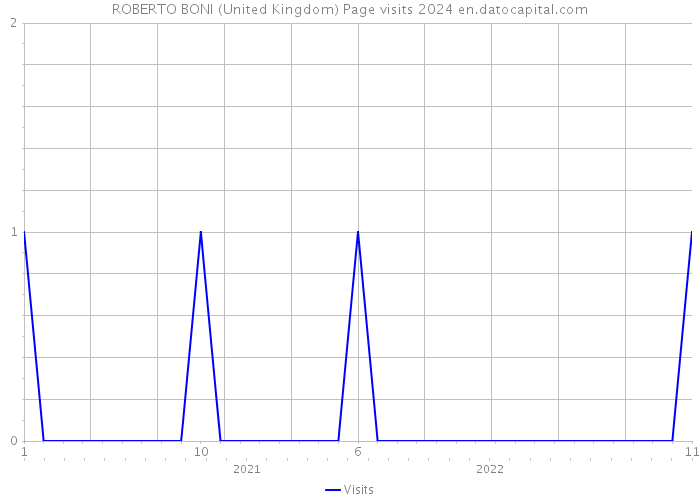 ROBERTO BONI (United Kingdom) Page visits 2024 