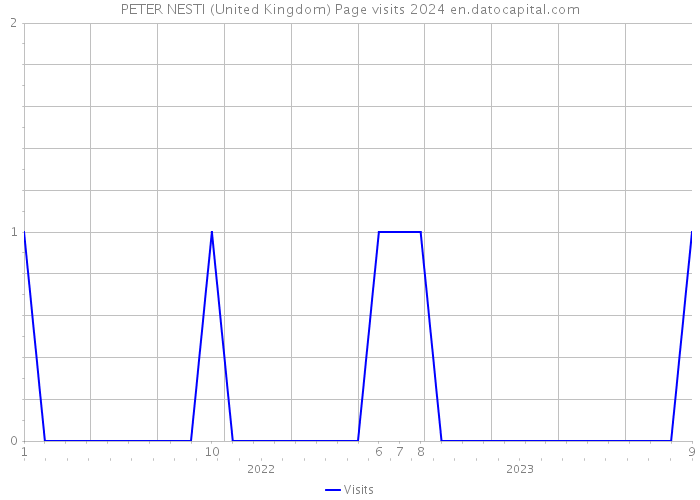 PETER NESTI (United Kingdom) Page visits 2024 
