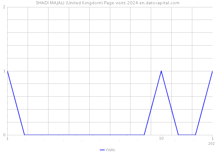 SHADI MAJALI (United Kingdom) Page visits 2024 