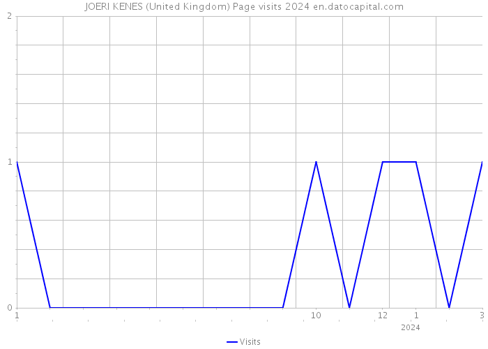 JOERI KENES (United Kingdom) Page visits 2024 
