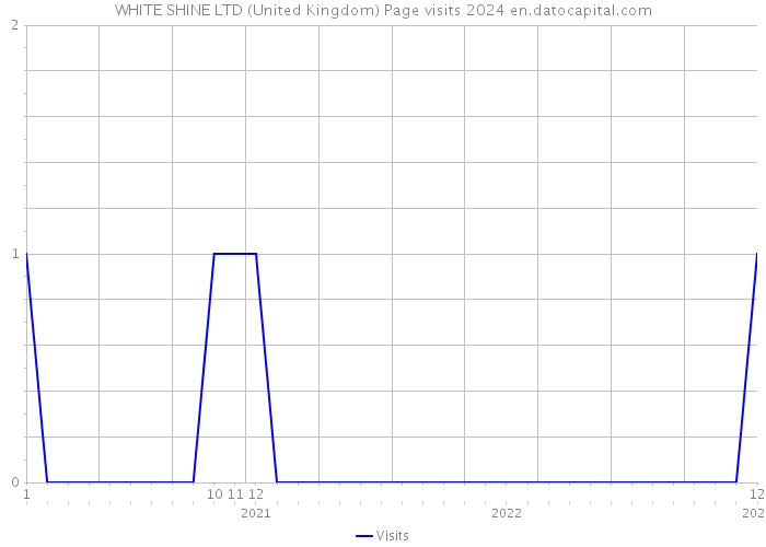 WHITE SHINE LTD (United Kingdom) Page visits 2024 
