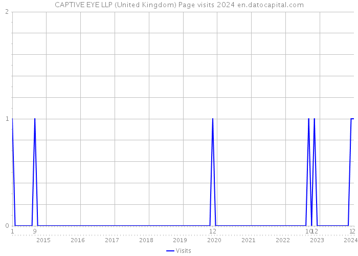 CAPTIVE EYE LLP (United Kingdom) Page visits 2024 
