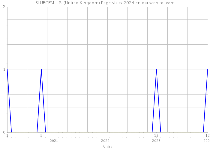 BLUEGEM L.P. (United Kingdom) Page visits 2024 