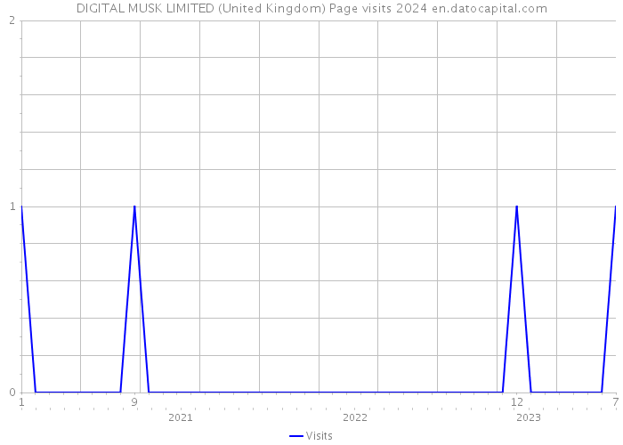 DIGITAL MUSK LIMITED (United Kingdom) Page visits 2024 