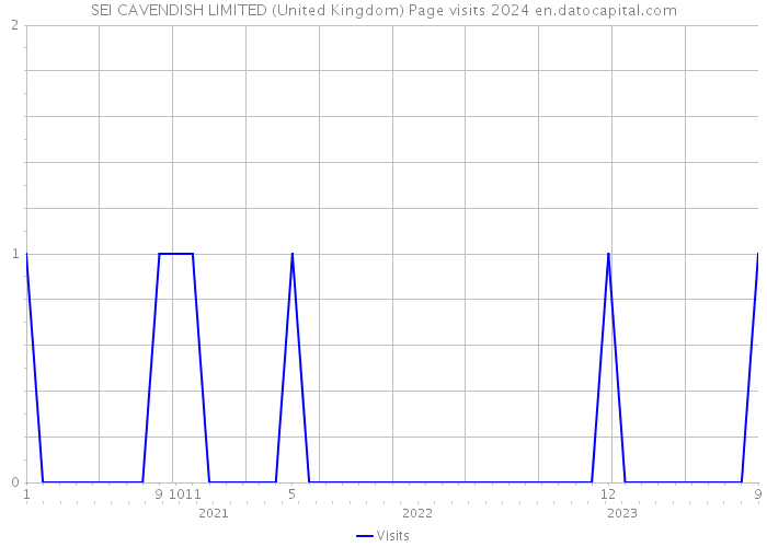 SEI CAVENDISH LIMITED (United Kingdom) Page visits 2024 
