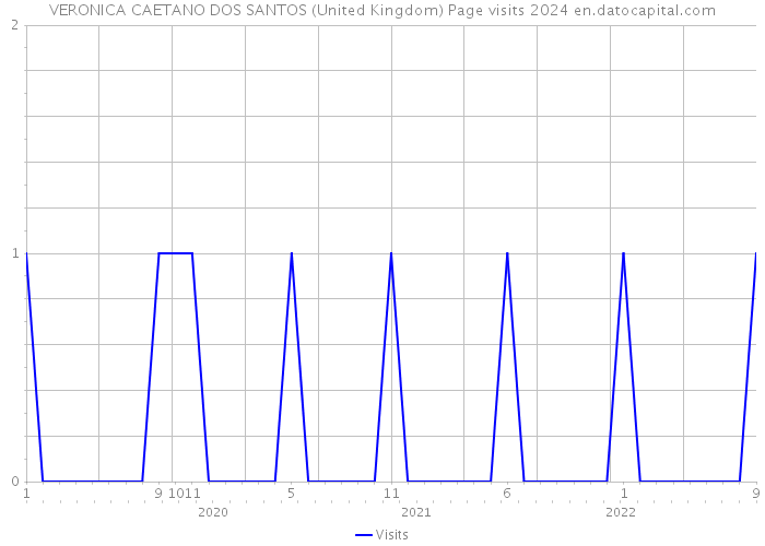 VERONICA CAETANO DOS SANTOS (United Kingdom) Page visits 2024 