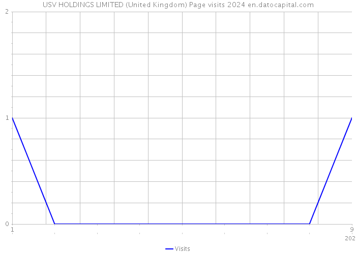 USV HOLDINGS LIMITED (United Kingdom) Page visits 2024 
