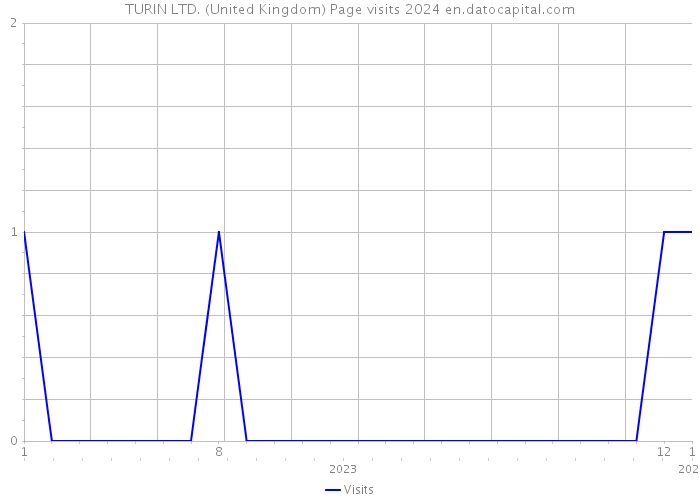 TURIN LTD. (United Kingdom) Page visits 2024 