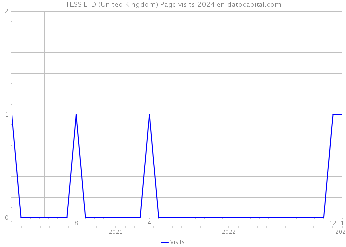 TESS LTD (United Kingdom) Page visits 2024 