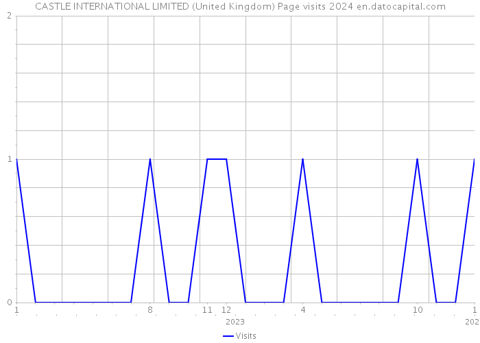 CASTLE INTERNATIONAL LIMITED (United Kingdom) Page visits 2024 