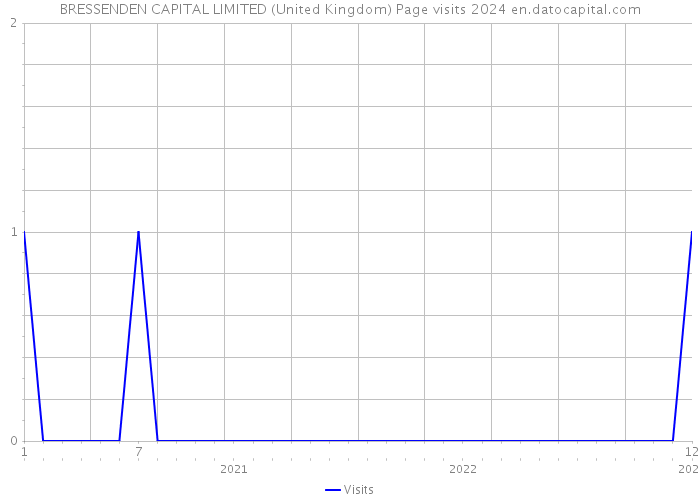 BRESSENDEN CAPITAL LIMITED (United Kingdom) Page visits 2024 