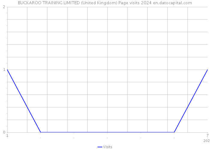 BUCKAROO TRAINING LIMITED (United Kingdom) Page visits 2024 