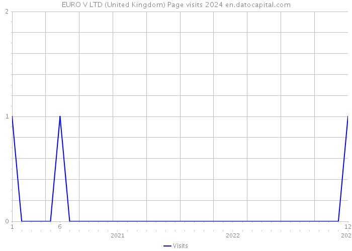 EURO V LTD (United Kingdom) Page visits 2024 