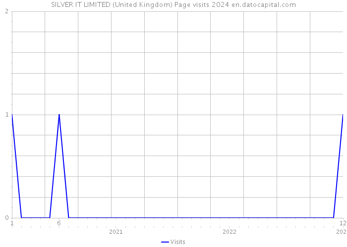 SILVER IT LIMITED (United Kingdom) Page visits 2024 
