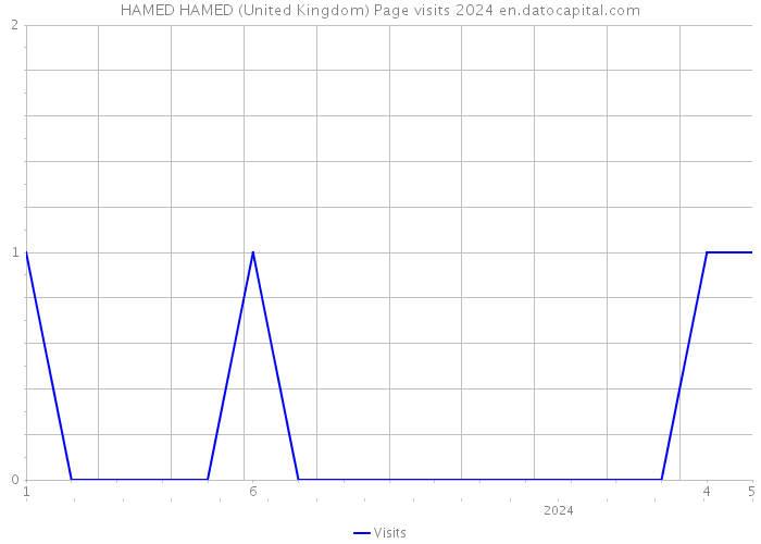 HAMED HAMED (United Kingdom) Page visits 2024 