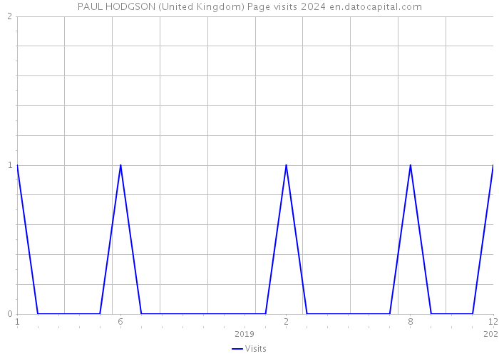 PAUL HODGSON (United Kingdom) Page visits 2024 