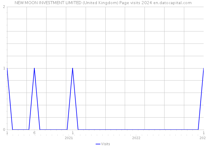NEW MOON INVESTMENT LIMITED (United Kingdom) Page visits 2024 