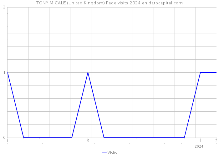 TONY MICALE (United Kingdom) Page visits 2024 